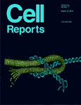 Cell Reports